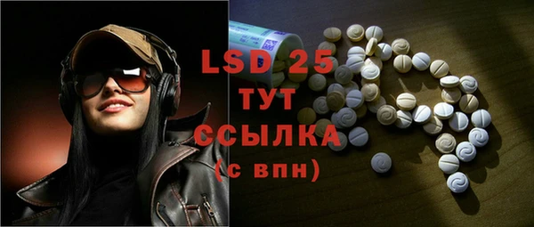 ГАЛЛЮЦИНОГЕННЫЕ ГРИБЫ Аша