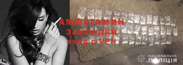 шишки Саяногорск