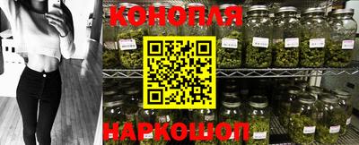 крисы Малоярославец