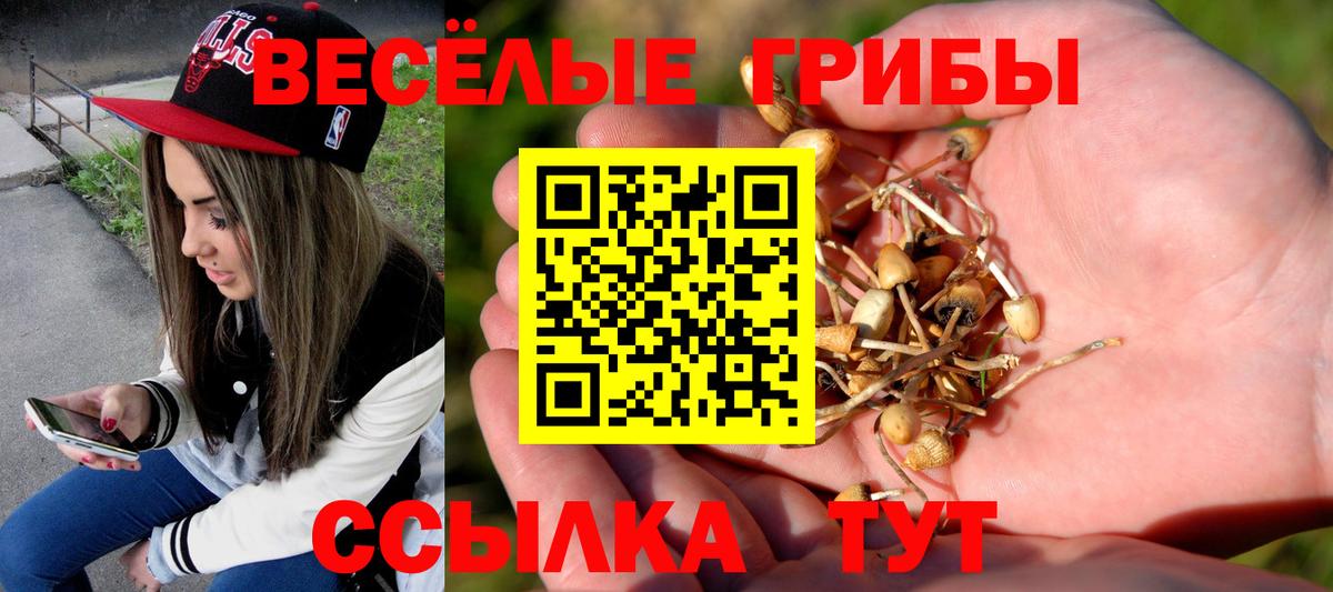 Глазов  Псилоцибиновые грибы ЛСД  Вход с VPN  Псилоцибиновые грибы Cubensis 