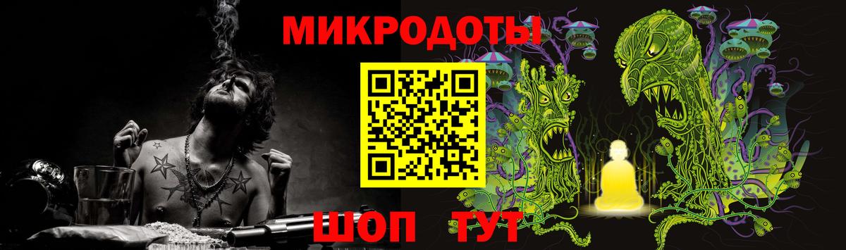 Псилоцибиновые грибы Psilocybine cubensis Глазов